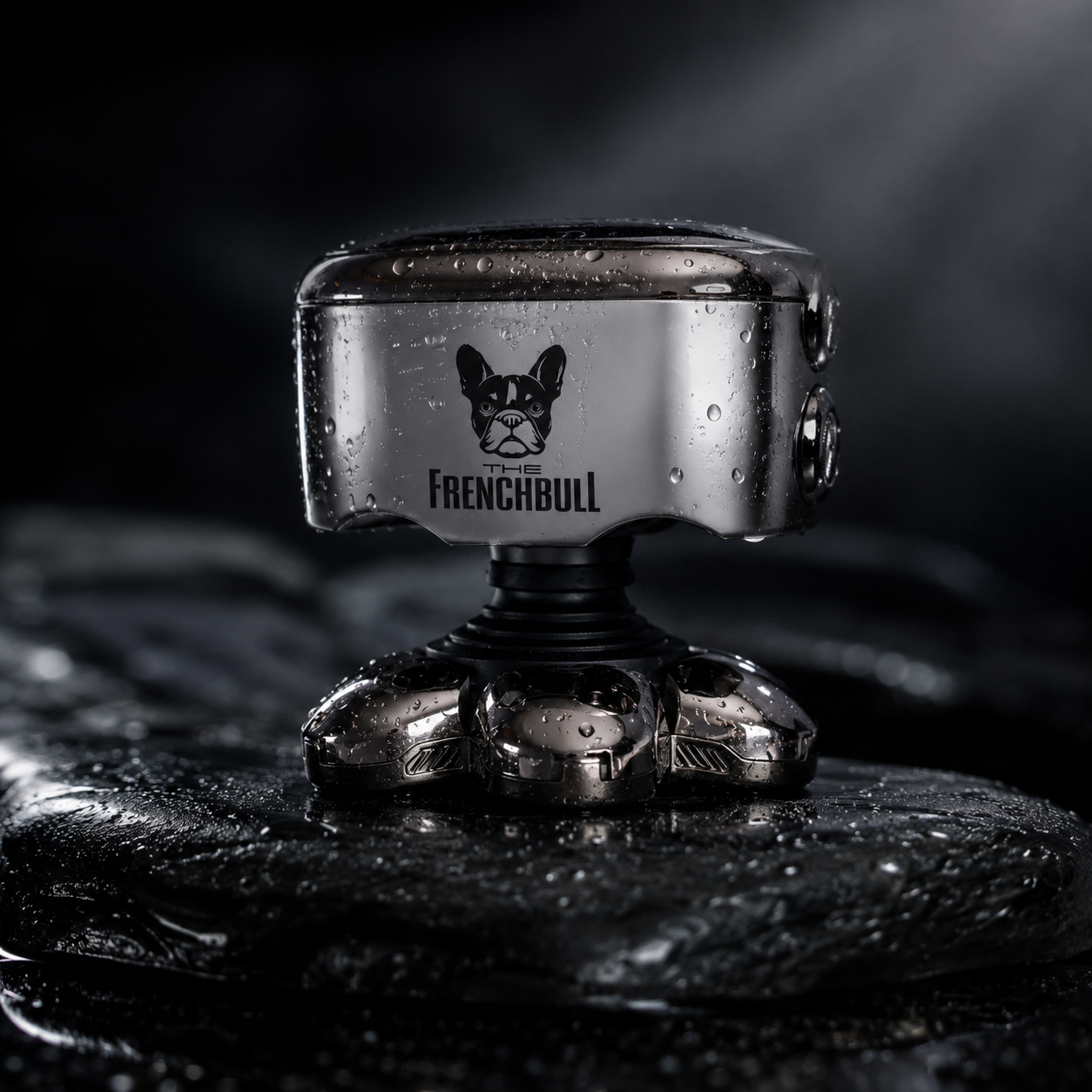 The FrenchBull 6 in 1 Shaver